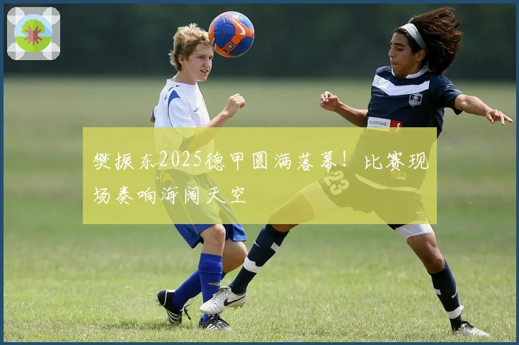 樊振东2025德甲圆满落幕！比赛现场奏响海阔天空